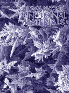 Mukherjee_et_al-2013-Advanced_Functional_Materials